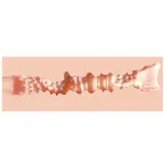 XKIN Sweet Delilah - élethű műpunci maszturbátor (natúr)